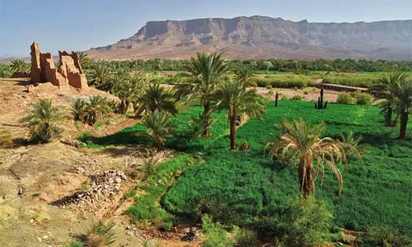 Excursion in the Draa Valley